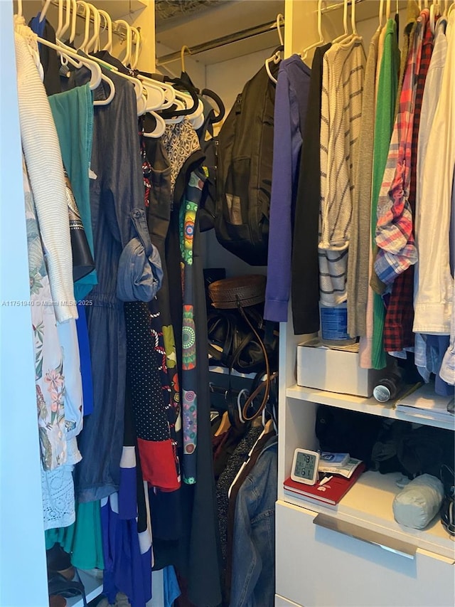 view of spacious closet