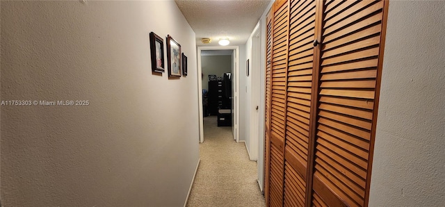 111 Gardens Dr Unit 203, Pompano Beach, FL 33069 - corridor with light colored carpet, a textured ceiling, and a textured wall