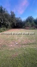 1029 State St, Fellsmere, FL 32948 - photo 1