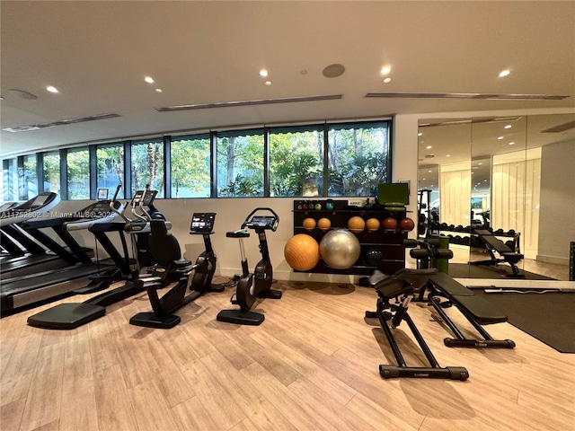 exercise room featuring wood finished floors