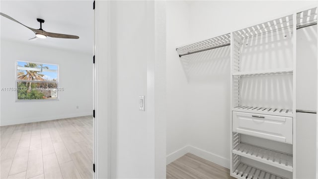 spacious closet with ceiling fan and wood finished floors