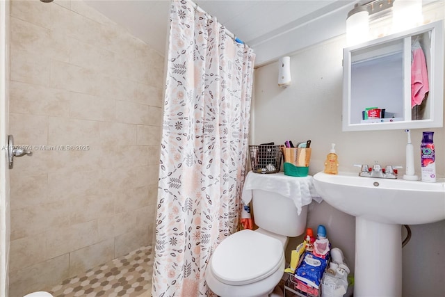 bathroom featuring a stall shower, a sink, and toilet