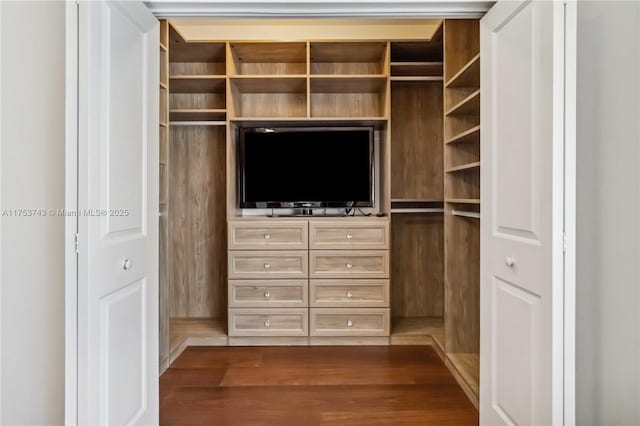 view of closet