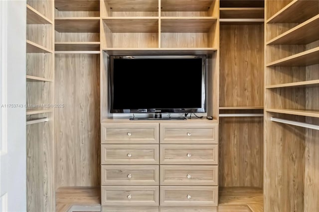 view of walk in closet