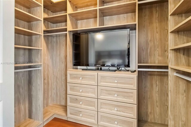 view of walk in closet