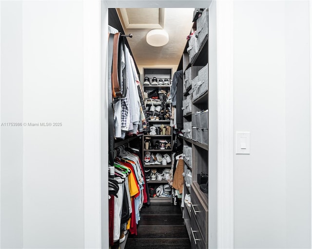 walk in closet featuring dark wood finished floors