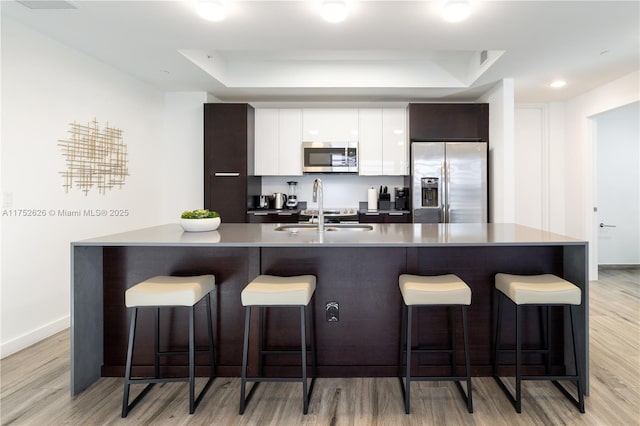 kitchen with a sink, appliances with stainless steel finishes, modern cabinets, and a raised ceiling