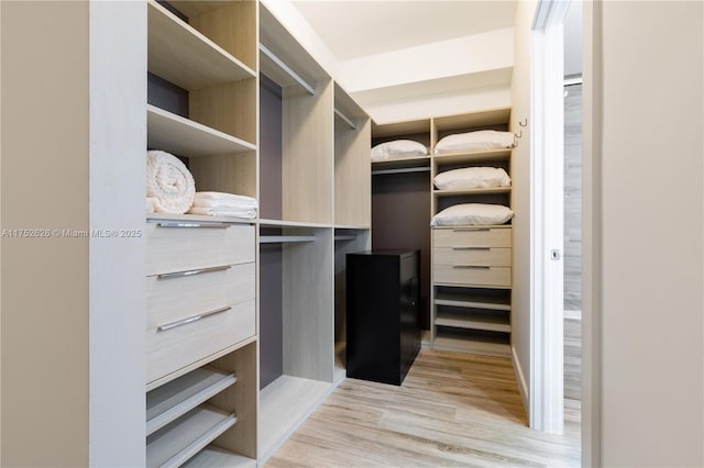 walk in closet featuring light wood finished floors