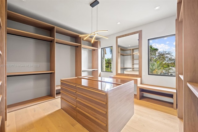 spacious closet with light wood-type flooring