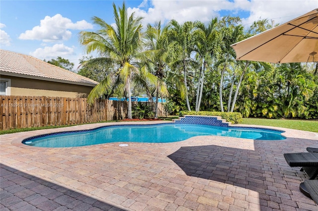 view of pool featuring a patio area, a fenced backyard, and a fenced in pool