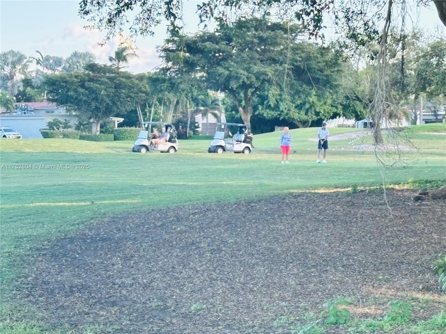 view of community featuring a lawn