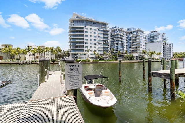 dock area featuring a water view