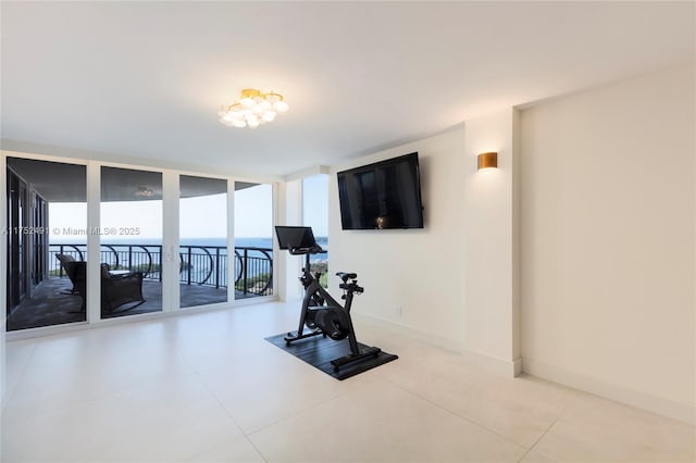 workout area featuring expansive windows and baseboards
