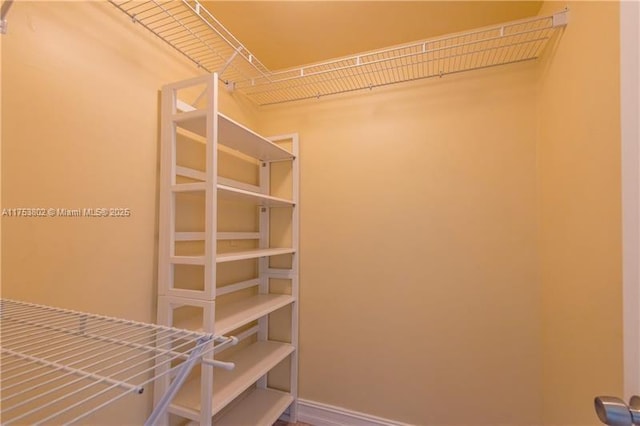 view of spacious closet