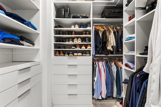 view of spacious closet