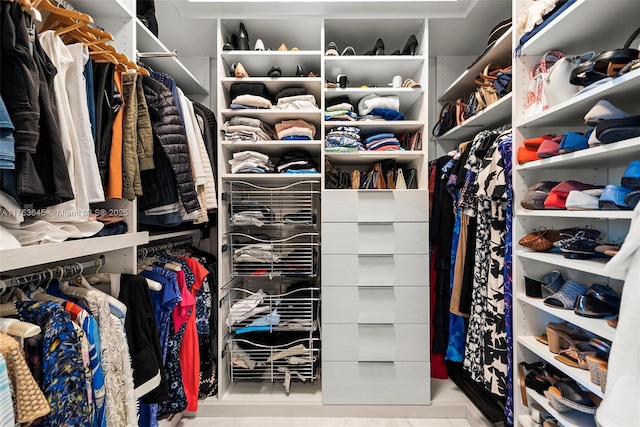 view of spacious closet