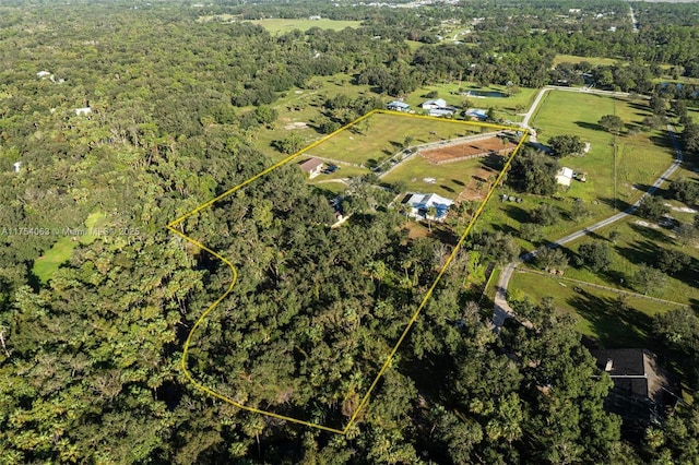 bird's eye view with a view of trees