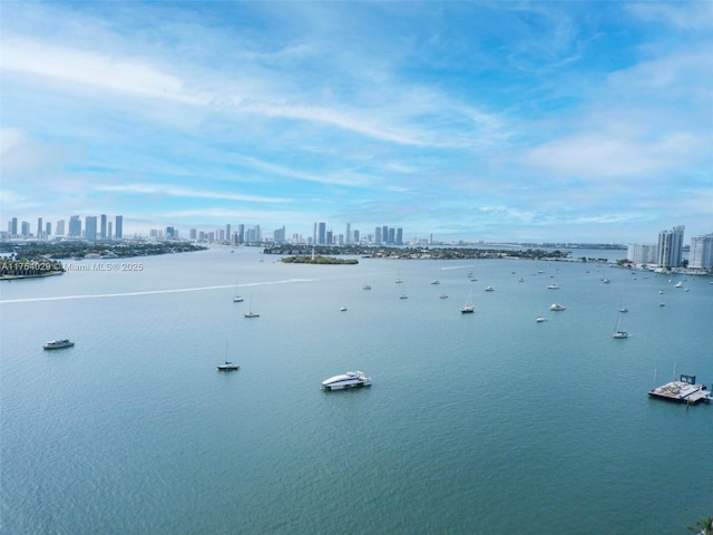 water view with a city view