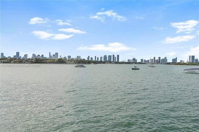 view of water feature featuring a city view