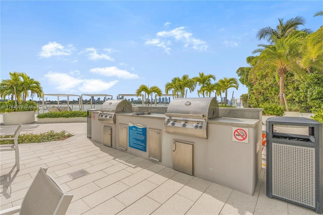 view of patio / terrace with a grill and area for grilling