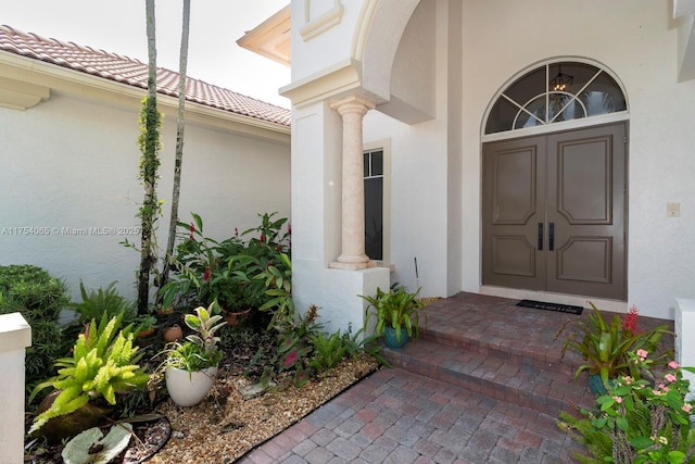 view of exterior entry with stucco siding