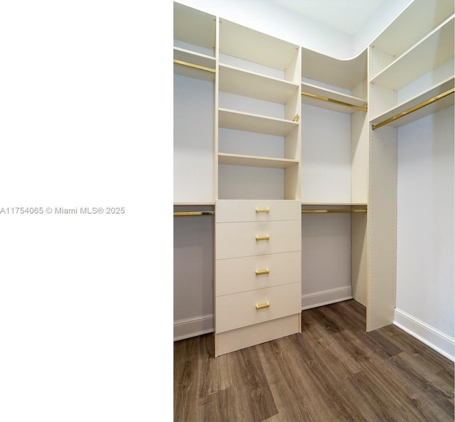 spacious closet with dark wood-type flooring