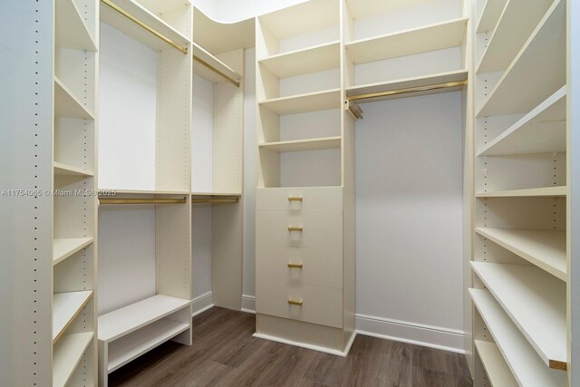 spacious closet with dark wood-style floors