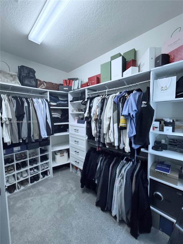 spacious closet with carpet floors