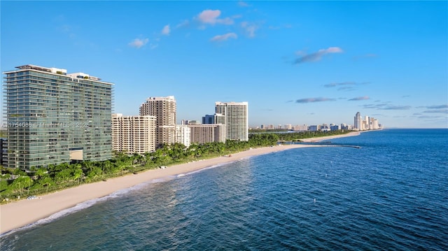 view of water feature featuring a view of the beach and a city view