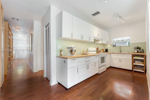 kitchen featuring electric stove, visible vents, a sink, and dark wood-style flooring