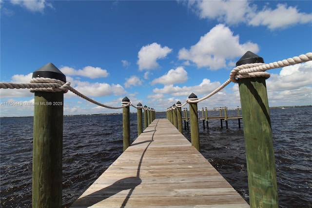 dock area with a water view