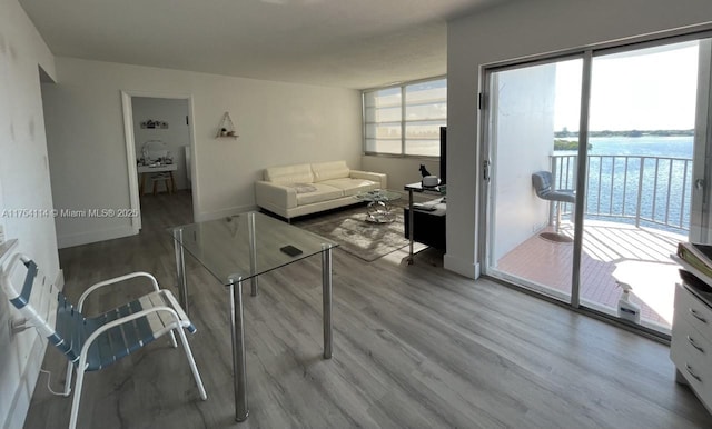 living room featuring a wealth of natural light, baseboards, and wood finished floors