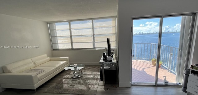 living room featuring baseboards and wood finished floors