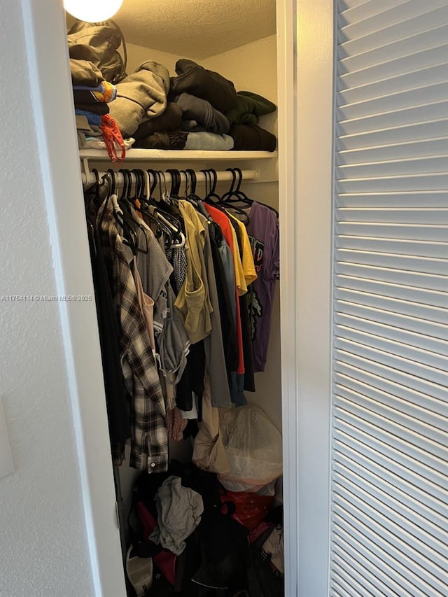 view of closet