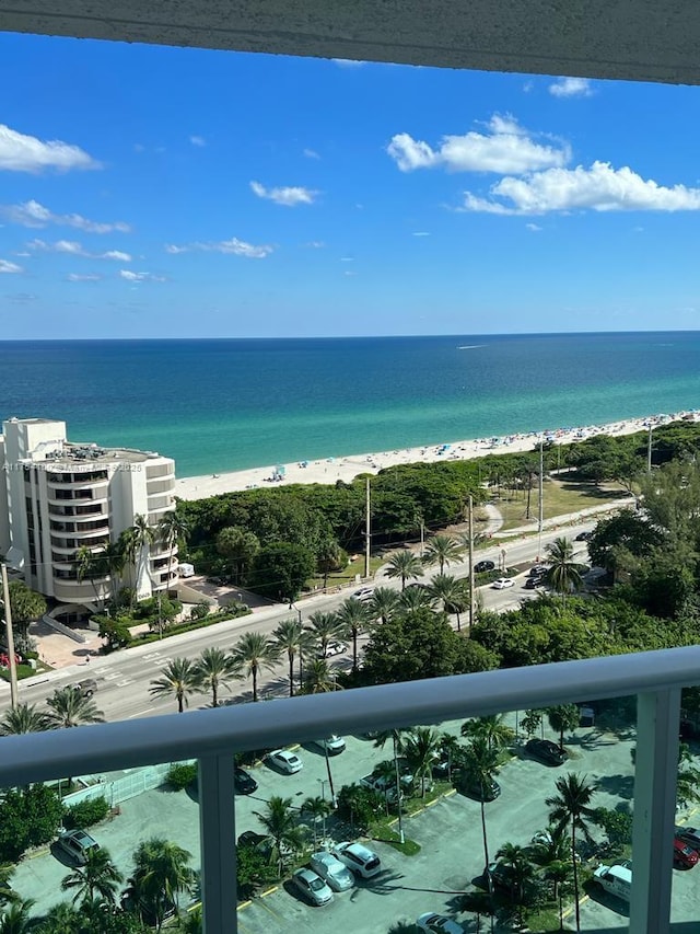 water view with a view of the beach