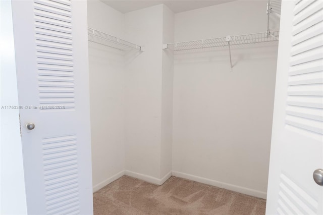 3300 NE 192nd St Unit 1908, Aventura, FL 33180 - walk in closet with carpet floors