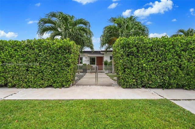 obstructed view of property featuring a fenced front yard, a front yard, and a gate