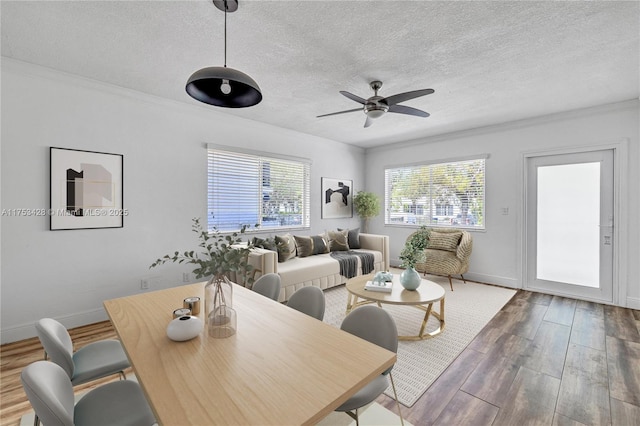 dining area with ceiling fan, a textured ceiling, baseboards, and wood finished floors