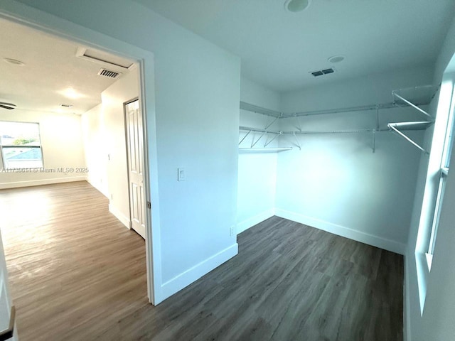 spacious closet featuring visible vents and dark wood finished floors