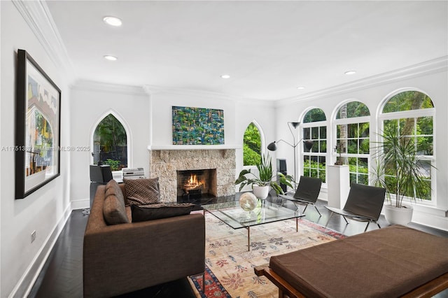 living room with baseboards, ornamental molding, wood finished floors, a stone fireplace, and recessed lighting