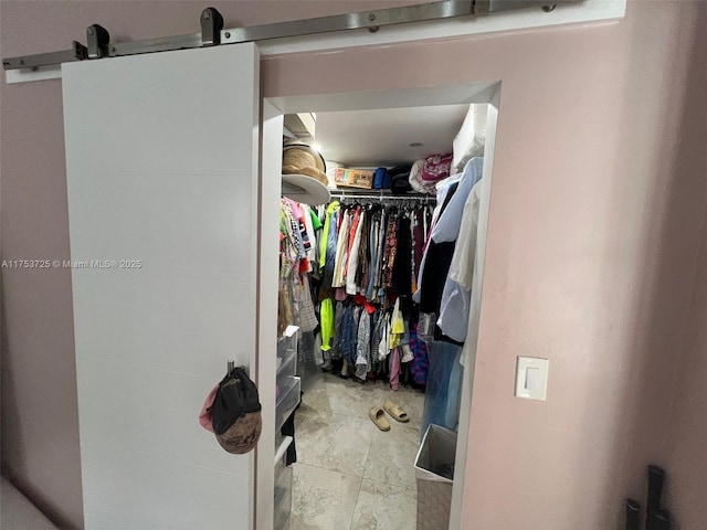spacious closet with a barn door