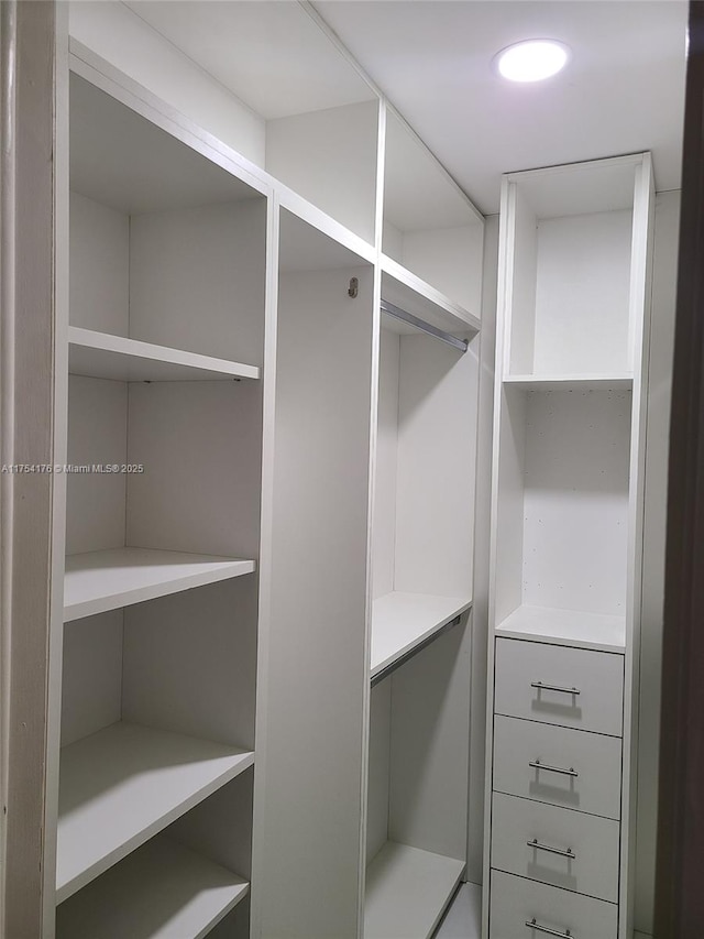 view of spacious closet