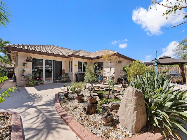 rear view of house with a patio area, a tile roof, and stucco siding