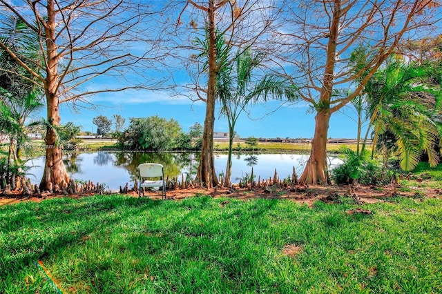 property view of water