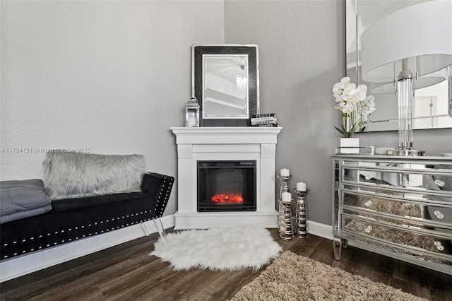 living room featuring a glass covered fireplace, baseboards, and wood finished floors