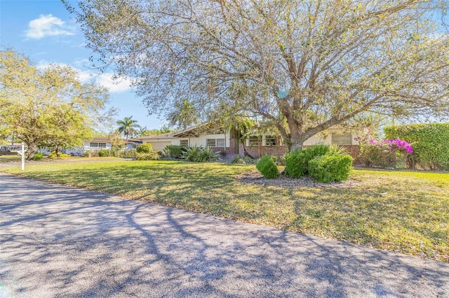 view of front of property featuring a front lawn