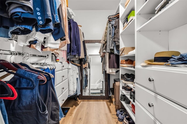 spacious closet with light wood-type flooring