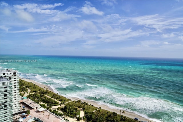 water view featuring a beach view