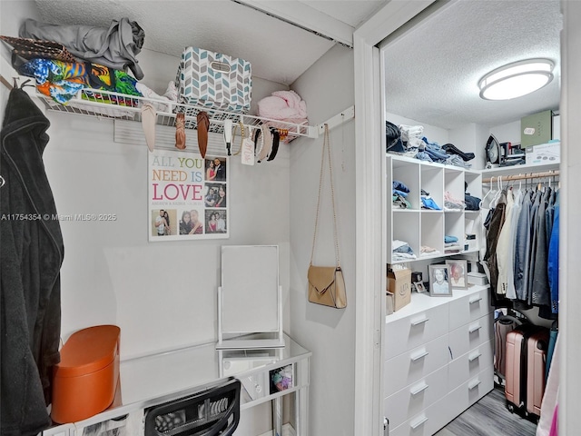 walk in closet with wood finished floors