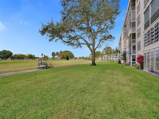 view of community featuring a yard